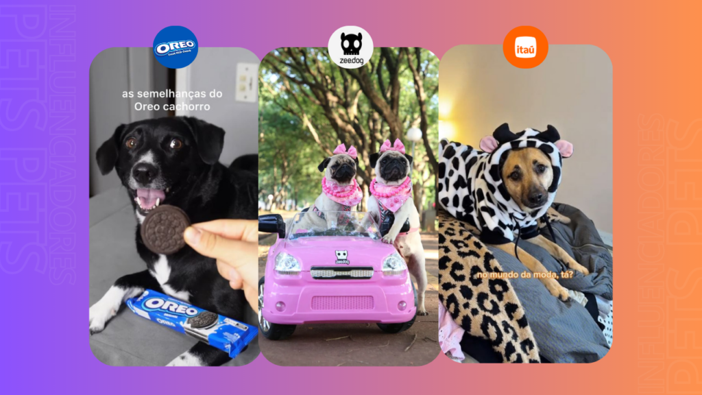 oreo figueiredo
vira lata caramelo
pets
marcas
publicidades
malcom salsicha
ovelha chanel
madalena e biquinha
kiliquinha
macaca olívia
